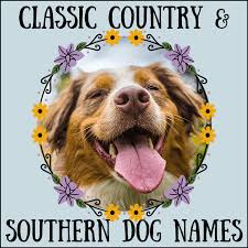 91 top female dog names of 2020 it can be incredibly hard to choose the best name for your dog! 200 Traditional Country Western And Southern Dog Names Pethelpful