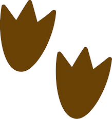Download Brown Dino Print Svg Clip Arts Download Download Clip Art Png Icon Arts Yellowimages Mockups