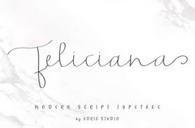 Script fonts are perfect for wedding invitations, programs and other materials. The Sallapan Font Dafont Free