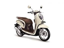 Honda Scoopy Images Honda Scoopy Honda Motor