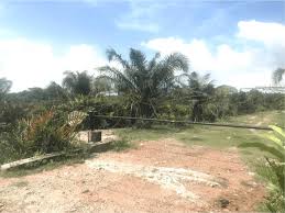 Skyhomestay telok panglima garang is located in teluk panglima garang and offers a shared lounge. Agriculture Land In Teluk Panglima Garang Klang Industrialandland Com