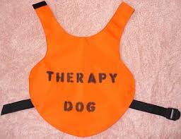 Medical alert service dog vest design. Diy Therapy Dog Vests Make Build Dog Stuff