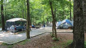 Where Should I Camp In Great Smoky Mountains Park
