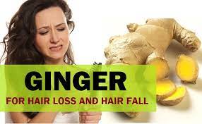 It also contains magnesium, potassium, phosphorus, selenium etc that are vital for the proper functioning and growth of hair follicles. How To Use Adrak Ginger For Hair Growth And Hair Loss Cure
