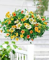 Top Super Hanging Flower Basket Ideas Container Flowers Hanging Plants Hanging Flower Baskets