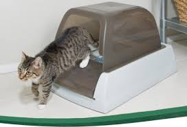 At first i was worried that that would be an issue with this box (being. Scoopfree Litter Boxes Pet Loo Product Support Faqs Videos Petsafe Canada