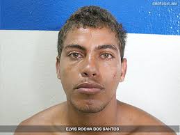 Cidade Segura: polícias prendem três, apreendem drogas e cobras