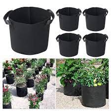 We did not find results for: Geotextile Fabric Planting Bag 3 5 Gallon Plants Flower Cultivation Pot Big Capacity Vegetable Growing Home Gardening Accessory Grow Bags Aliexpress