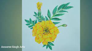 Browse marigold drawing realistic created by professional drawing artist. Drawing Realistic Marigold Flower Drawing With Colour Pencils Anusree Singh Arts Subscribe Youtube