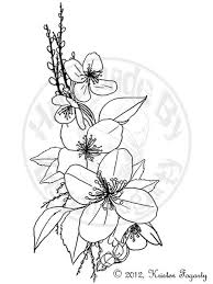 Jasmine Flower Drawings Related Keywords Suggestions Jasmine Flower Drawing Flower Line Drawings Jasmine Drawing