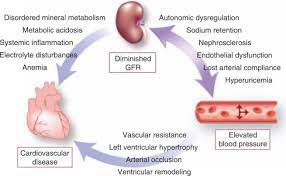 Systolic and diastolic hypertension 1. Hypertension Chronic Kidney Disease And The Development Of Cardiovascular Risk A Joint Primacy Kidney International