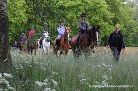 manege veendam