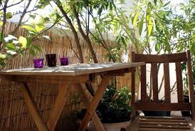 Browse the best plants to create a green screen for your outdoor living space. Bamboo Balcony Privacy Screen Ideas With Plants Carpets And Bars Interior Design Ideas Ofdesign