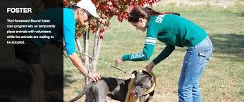 Homeward bound is really a dream come true. Homeward Bound Pet Shelter