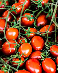 Image result for tomato Datterino