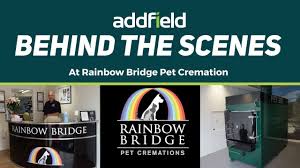 In a communal cremation, your pet is cremated along with other animals. Faq S Pet Cremation Business Addfield Environmental System Ltd