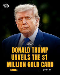 DonaldTrump just rolled out the Gold Card — and it'll only set you back a  million! 👀