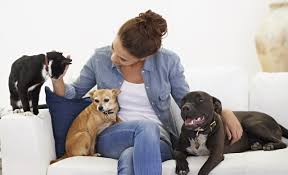 We offer free in home consultations to assess and offer solutions to your pet good to be home pet sitting provides professional pet sitting services that offer more than just some occasional pet care. Got Poo In Home Dog Sitting Services Got Poo Pet Waste Removal Pet Services