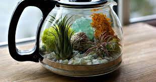 Aquarium acrylic soliter ikan cupang unik akuarium akrilik ukuran 20 x 6 x 10cm warna bening. 11 Ide Akuarium Mini Penyegar Ruangan Otakmu Jadi Ikut Bening Ide Mudah Bermunculan