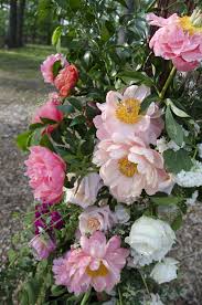 Dulany S Overlook Wedding Frederick Maryland Peonies Peonies Wedding Plants