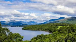 Proposals For Loch Lomond Weddings Complex Rejected Tfn