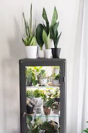 We have 95 different possibilities for you to choose from. How To Hack An Ikea Glass Cabinet To Make A Greenhouse