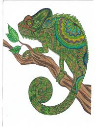 Finished Chameleon Colored Page Chameleon Color Coloring Pages Candy Coloring Pages