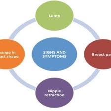 Breast cancer most commonly presents as a painless lump or thickening in over time, cancerous cells may spread to other organs including the lungs, liver, brain and bones. Pdf Introduction To Breast Carcinogenesis Symptoms Risks Factors Treatment And Management