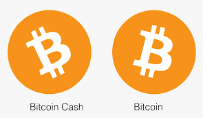 Bitcoin png you can download 23 free bitcoin png images. Transparent Bitcoin Logo Png Bitcoin Cash Logo Png Png Download Kindpng