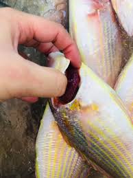 Check spelling or type a new query. Ikan Kerisi Besar 2 Ekor 500g Dah Yy Freshmart Ent Facebook