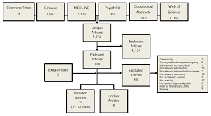 The Effectiveness Of Disaster Risk Communication A