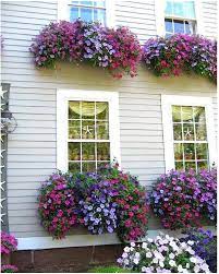 Pin On Home Decoration