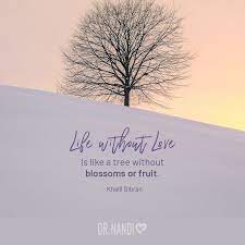 Home Page In 2021 Tree Of Life Quotes Life Quotes Inspirational Quotes