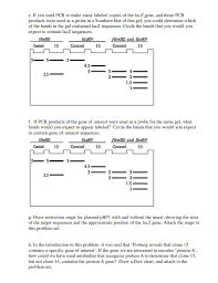 solved cloning vector pbp1 has a single hindiii restricti