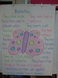 My Butterfly Anchor Chart Butterfly Life Cycle Insect