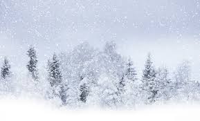 Tomorrow's Weather Toronto (Mar 17): Snowy, Bitter Cold & Strong Winds