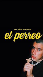 2020 refuses to take its foot off our necks. Bad Bunny Wallpapers Kolpaper Awesome Free Hd Wallpapers