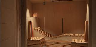 Infrarotkabinen Zum Liegen Infrarotkabine Infrarot Sauna Indoor Outdoor