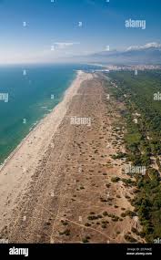 Veduta aerea della spiaggia di Lecciona a Viareggio, Torre del Lago,  Toscana Foto stock - Alamy