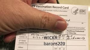Tipo de vacuna y dosis: Las Estafas Relacionadas Con Los Pasaportes De Vacunacion Se Disparan En La Red
