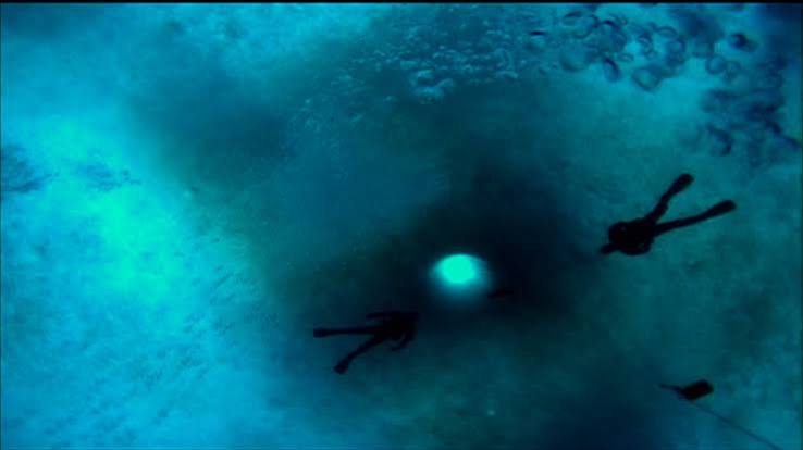 The Wild Blue Yonder – Films – Visions du Réel
