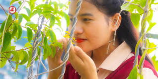 Profile for JL- Production