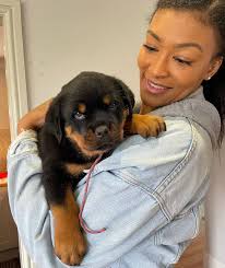 Rottweiler puppies for sale in LaGrange, MO