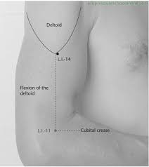 Douleurs A L Epaule Voici Comment L Acupression Peut Les Soulager 1 Shiatsu A Domicile Massages En Entrepri Acupression Douleur Epaule Point Acupuncture