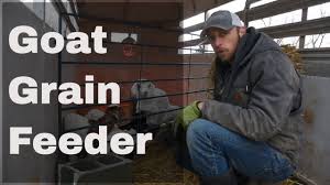 Building the ultimate diy goat hay feeder this one's going to save us $100s (i hope) lumnah acres diy easy cleaning goat sheep feeder that we made on our farm and truly really like. Diy Plastic Bucket Goat Grain Feeder