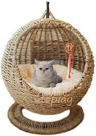 Amazon Com Utopiay Handmade Cat Bed Seagrass Woven Cat House Creative Cat Hammock Fine Cat Nest Basket With Soft Cu In 2021 Unique Cat Bed Cat Hammock Cool Cat Beds