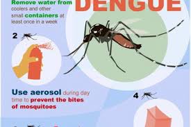 To prevent dengue infection you can use papya juice, giloy juice and coconut water regularly. Dengue Proof Your Family Philippine Information Agency