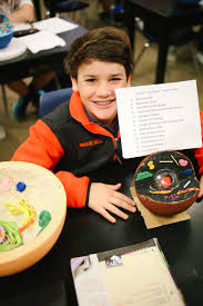 Maybe you would like to learn more about one of these? 7th Grade Cell Project Brook Hill School Tyler Tx