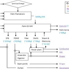 Montage of photos from palm oil estates. Process Steps For Production Of Palm Kernel Oil And Average Inputs And Download Scientific Diagram