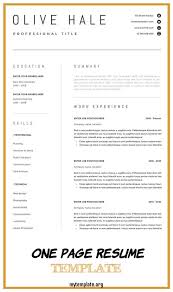 There's no obvious do this or do that for each of your cvs. 7 One Page Resume Template Free Templates